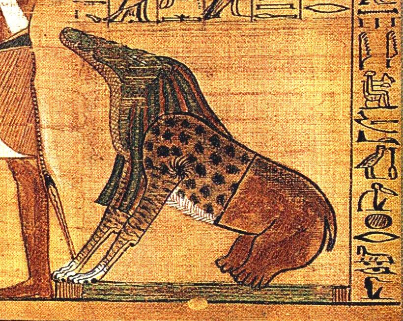 Ammit BD